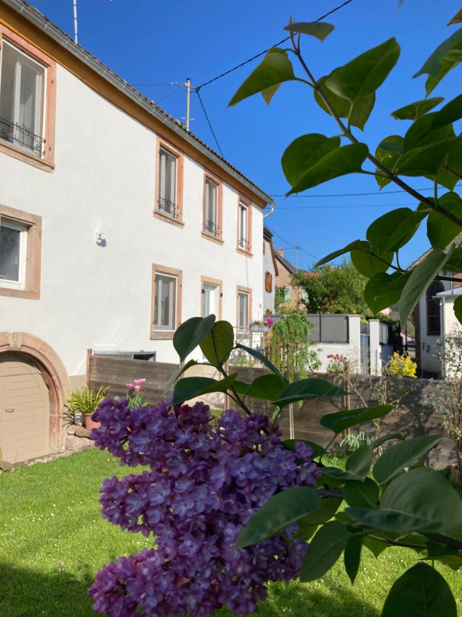 Gite Le 1602 Saint-Nabor Exterior photo